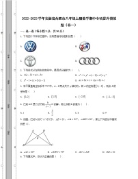 2022-2023学年安徽省合肥市八年级上册数学期中专项提升模拟题（卷一卷二）含解析