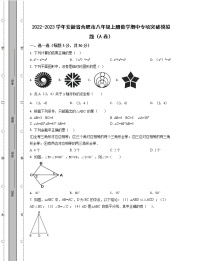 2022-2023学年安徽省合肥市八年级上册数学期中专项突破模拟题（AB卷）含解析