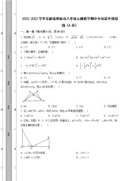 2022-2023学年安徽省淮南市八年级上册数学期中专项提升模拟题（AB卷）含解析