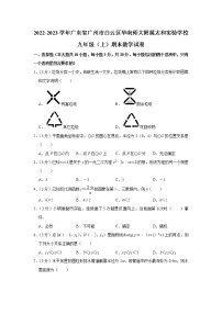 广东省广州市白云区华南师大附属太和实验学校2022-2023学年九年级上学期期末数学试卷(含解析)