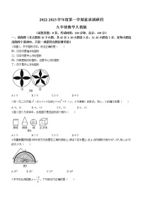 河北省部分学校联考2022-2023学年九年级上学期期末数学素质调研卷(含答案)