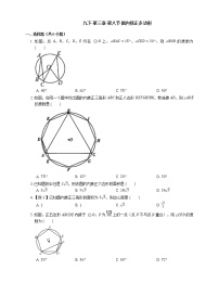 北师大版九年级下册8 圆内接正多边形综合训练题