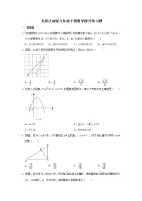 北师大版九年级下册数学提升练习题（无答案）