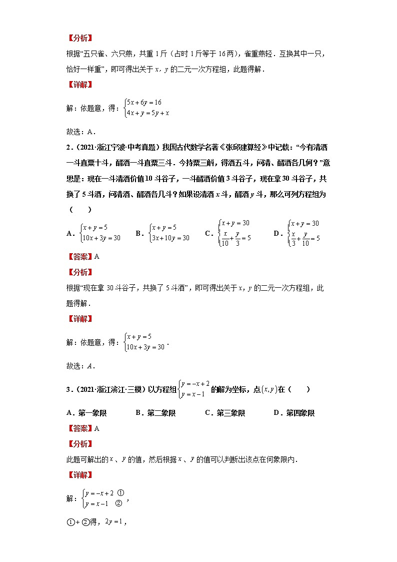  2022-2023 数学浙教版新中考精讲精练 考点06二元一次方程组（解析版）第2页