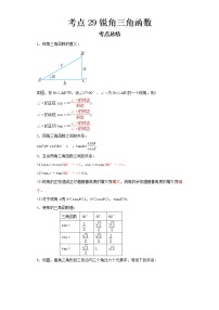 2022-2023 数学浙教版新中考精讲精练 考点29锐角三角函数