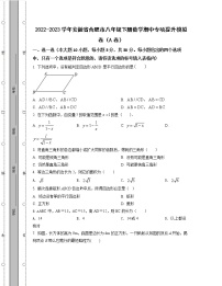 2022-2023学年安徽省合肥市八年级下册数学期中专项提升模拟卷（AB卷）含解析