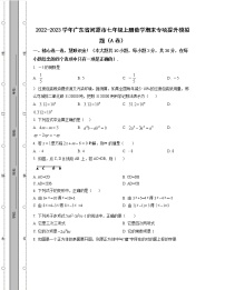 2022-2023学年广东省河源市七年级上册数学期末专项提升模拟题（AB卷）含解析