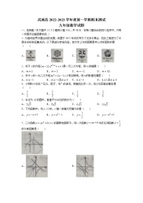 山东省德州市武城县2022-2023学年九年级上学期期末考试数学试题