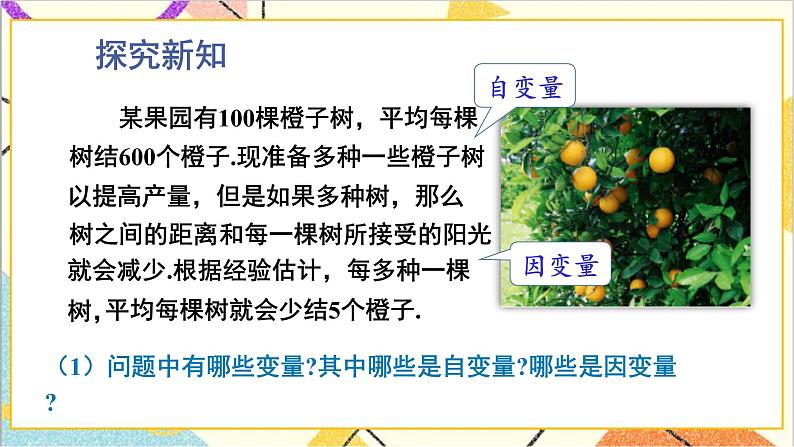 2.1 二次函数 上课课件+教案+习题课件05