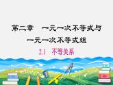 2.1 不等关系 北师大版八年级数学下册同步课件