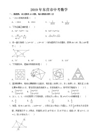 山东省2019年东营市中考数学试卷【含答案】