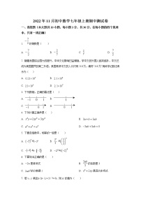 广东省佛山市高明区高明实验中学2022-2023学年七年级上学期期中考试数学试卷(含答案)