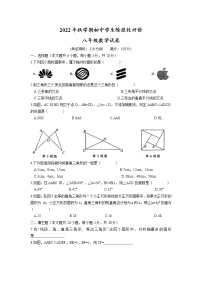 江苏省泰州市兴化市2022-2023学年八年级上学期期中阶段性评价数学试卷(含答案)