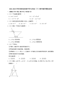 河南省实验中学2022-2023学年七年级下学期期中数学模拟试卷(含答案)