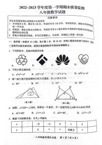 江苏省南通市启东市2022-2023学年八年级上学期期末数学试题