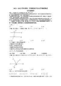 广东省江门市台山市2021-2022学年七年级下学期期末学业水平调研测试数学试题