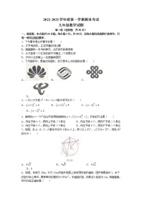 山东省济宁市微山县2022-2023学年九年级上学期期末数学试题