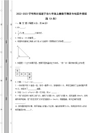 2022-2023学年四川省遂宁市七年级上册数学期末专项提升模拟题（AB卷）含解析