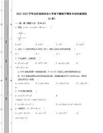 2022-2023学年山东省滨州市七年级下册数学期末专项突破模拟（AB卷）含解析