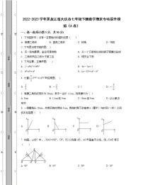 2022-2023学年黑龙江省大庆市七年级下册数学期末专项提升模拟（AB卷）含解析