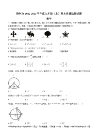 广西壮族自治区柳州市2022-2023学年九年级上学期期末数学试题(含答案)