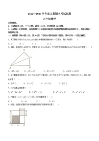 河南省周口市川汇区2022-2023学年八年级上学期期末数学试题1(含答案)