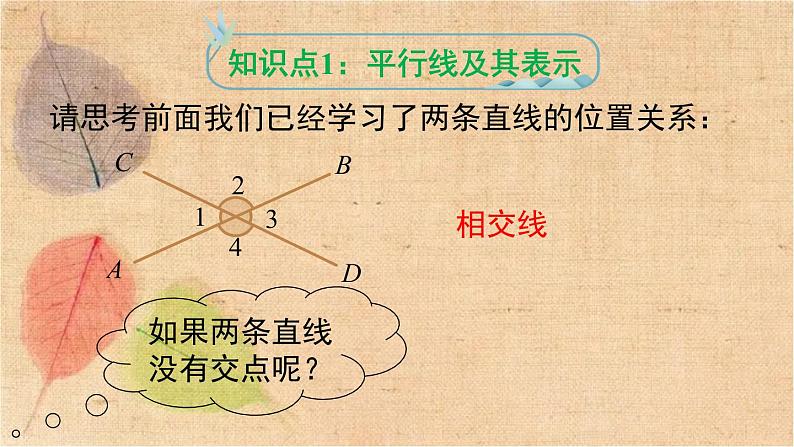 人教版数学七年级下册 5.2.1 平行线 课件第5页