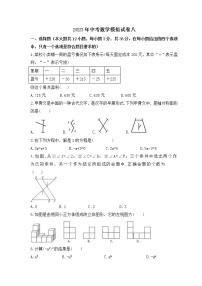 2023年中考数学模拟试卷八（含答案）