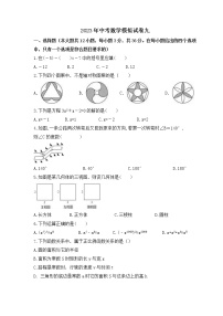 2023年中考数学模拟试卷九（含答案）