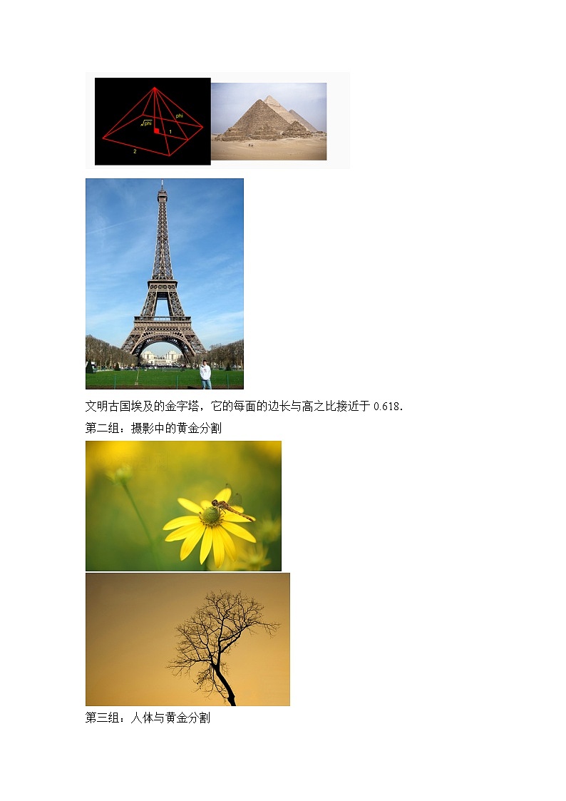 9.6《黄金分割》 教案第2页