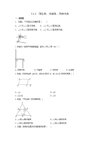 人教版5.1.3 同位角、内错角、同旁内角综合训练题