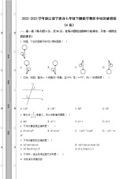 2022-2023学年浙江省宁波市七年级下册数学期末专项突破模拟（AB卷）含解析