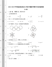 2022-2023学年海南省琼海市七年级下册数学期中专项突破模拟（AB卷）含解析