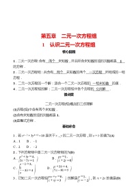 数学八年级上册1 认识二元一次方程组课时作业