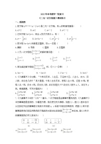 2023年中考数学一轮复习《二元一次方程组》课时练习（含答案）