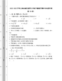 2022-2023学年上海市浦东新区七年级下册数学期中专项提升模拟（AB卷）含解析