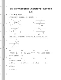 2022-2023学年湖南省耒阳市七年级下册数学第一次月考模拟卷（AB卷）含解析