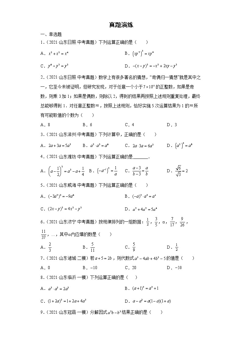 2022-2023 数学华师大版中考考点经典导学 考点02整式于因式分解（原卷版）第2页