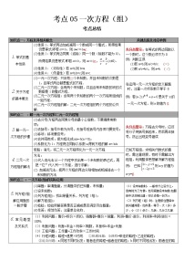 2022-2023 数学华师大版中考考点经典导学 考点05一次方程（组）