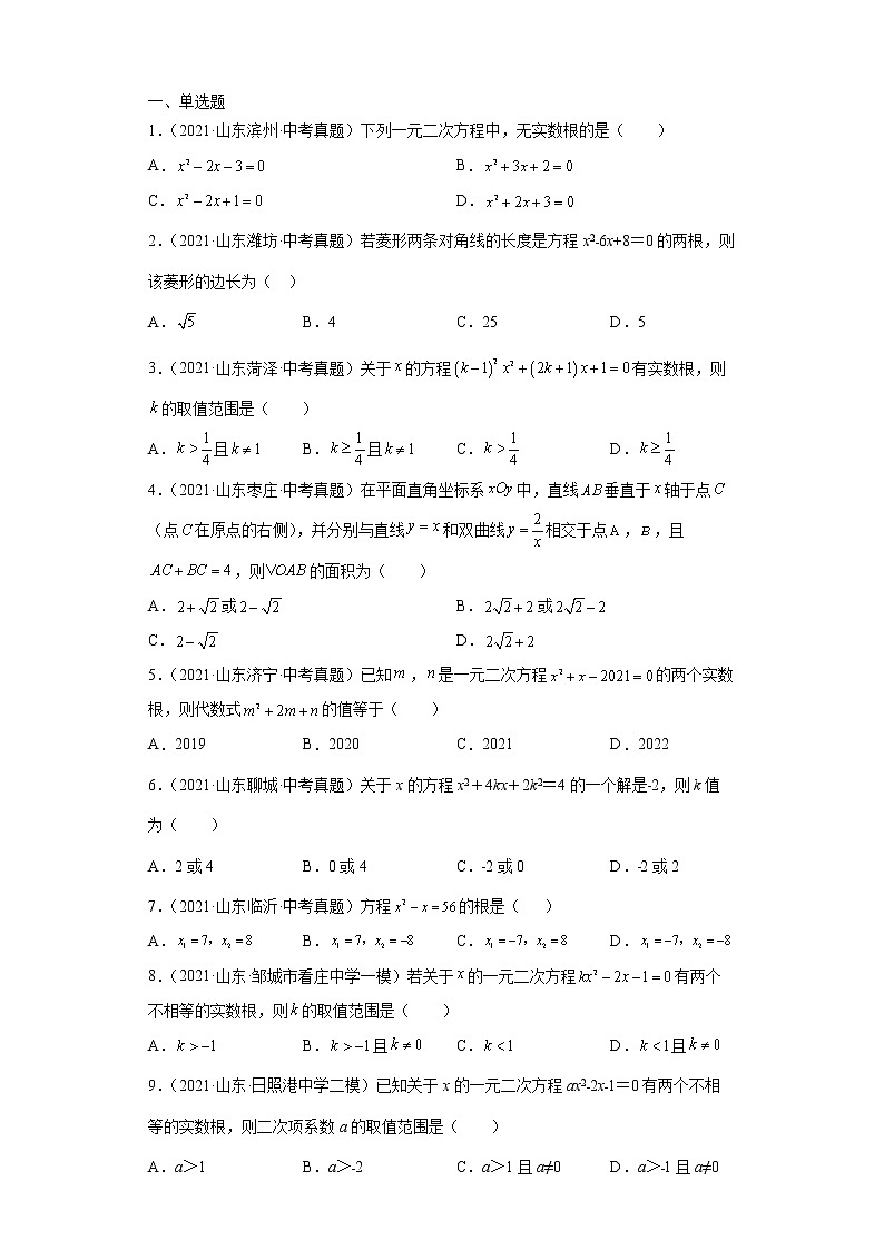  2022-2023 数学华师大版中考考点经典导学 考点06一元二次方程（原卷版）第2页