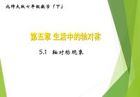 数学七年级下册第五章  生活中的轴对称1 轴对称现象习题课件ppt
