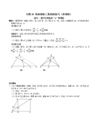 专题20 作平行线和作垂线构造相似三角形的技巧-2023年中考数学二轮复习核心考点专题提优拓展训练