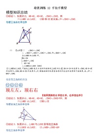 【中考一轮专项复习】2023年中考数学通用版培优专项训练 12 全等三角形 手拉手模型（原卷版+解析卷）