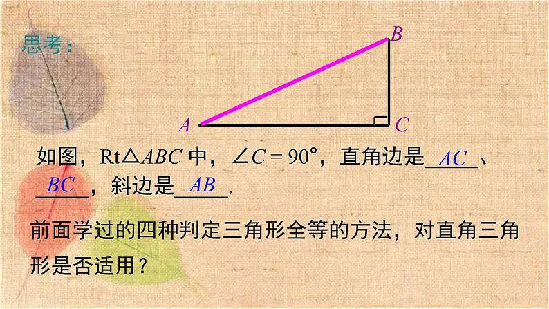 北师大版数学八年级下册 1.2 第2课时 直角三角形全等的判定 课件第3页