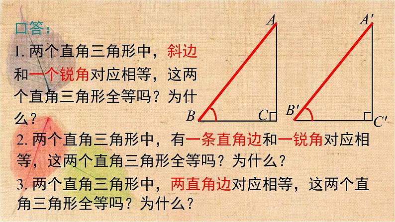 北师大版数学八年级下册 1.2 第2课时 直角三角形全等的判定 课件第4页