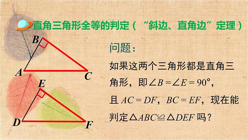 北师大版数学八年级下册 1.2 第2课时 直角三角形全等的判定 课件第6页