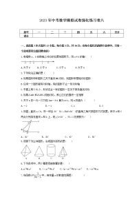 2023年中考数学模拟试卷强化练习卷八（含答案）