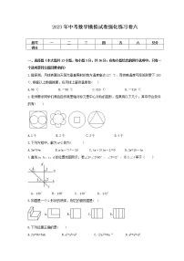 2023年中考数学模拟试卷强化练习卷六（含答案）