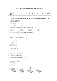 2023年中考数学模拟试卷强化练习卷七（含答案）