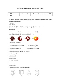 2023年中考数学模拟试卷强化练习卷三（含答案）